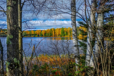 Autumn at Lake - fall, water, leaves, trees, colors