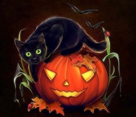 ..Enjoy Halloween.. - black cat, animals, ladybugs, creative pre-made, pumpkins, halloween, pretty, digital art, cute, bats, adorable, kitty, draw and paint, lovely, love four seasons, cats, leaves, colors