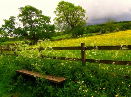 Spring - flowers, nature, flowers field, bench, spring, grass, field