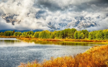 * Grand Teton National Park-WYOMING * - lake, trees, forest, nature