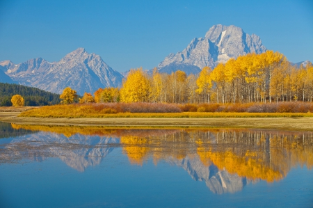 * Grand Teton National Park-WYOMING * - lake, forest, trees, nature