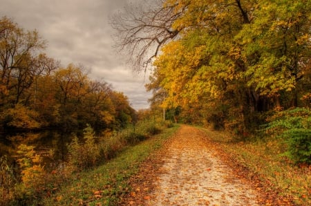 * Autumn * - fall, forest, nature, autumn