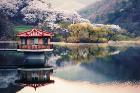 Autumnal Silence - calm waters, trees, beautiful, meadow, forest, reflection, fall, autumn, lake, mountains