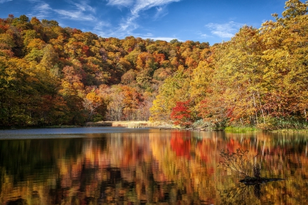 * Autumn lake * - lake, fall, forest, nature