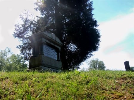 tombstone and tree - leaves, summer, tree, tombstone