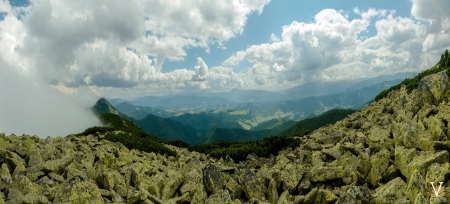 Гора Хом’як - Ukraine, nature, Carpathians, photography, Karpaty, mount Khomjak, mountains