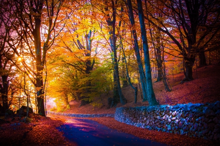 Autumn - fall, river, colos, trees, sunshine, stones, wall, leaves