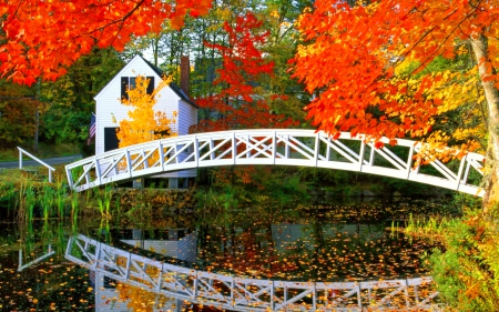 Autumn countryside - branches, autumn, countryside, road, foliage, nature, forest, reflection, beautiful, house, colors, bridge, pond