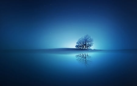 Blue Reflections - nature, serene, reflection, peace, blue, tree