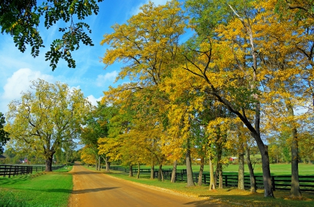 * Autumn alley * - fall, alley, trees, nature, autumn