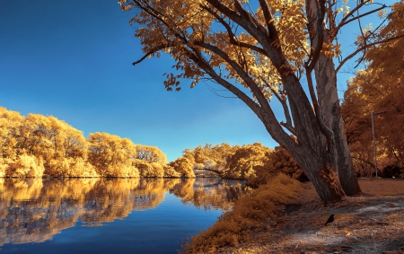 * Autumn lake * - fall, trees, nature, autumn, lake, forest