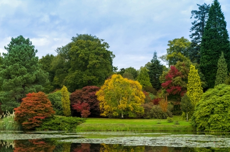 * Autumn park * - nature, park, fall, autumn