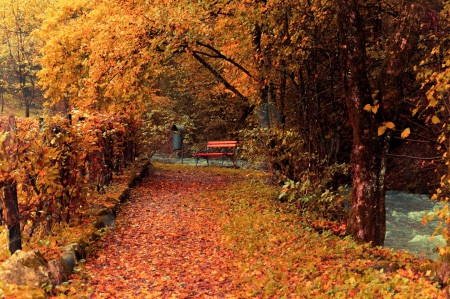 Park in Autumn - fall, path, trees, bench, colors, leaves