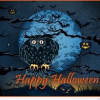 Happy Halloween Owl