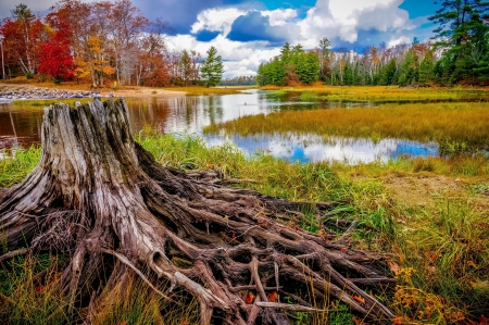 Wonderful Autumn - landscape, clouds, river, trees, colors