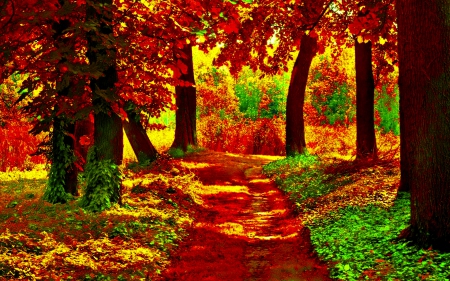 Autumn Colors - Trees, Autumn, Leaves, Path