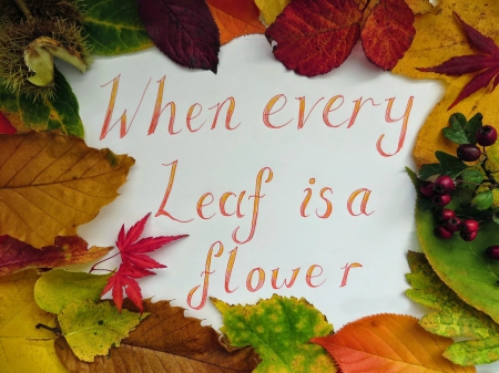 Autumn... - fall, quote, berries, leaves, autumn