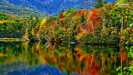 Autumn Reflection - reflections, lakes, nature, autumn, forests, trees