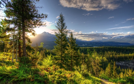 Cloudy sky - mountain - forest, landscape, mountain, cloudy sky