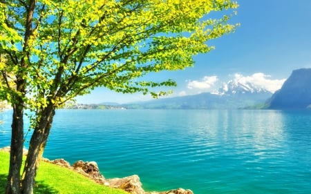 TURQUOISE LAKE - mountains, water, landscape, beautiful, leaves, beautiful sky, green grass, lake, green nature, clouds, clear lake, splendor, trees