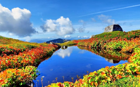 POND in the MOUNTAINS - sky, landscape, water, mountains, plants, nature, reflection, shades, clouds, leaves, splendor, pond