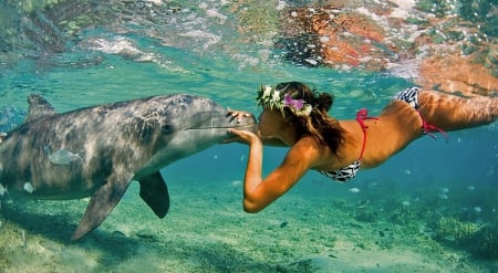 Tropical Destination - kiss, girl, tropical, dolphin, destination, underwater