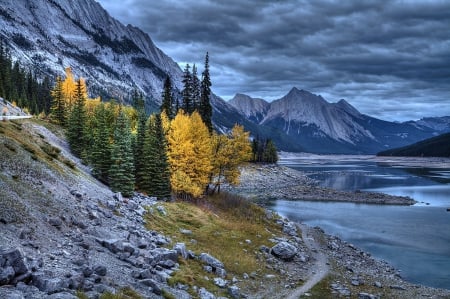 Rocks - stones, trees, rocks, river