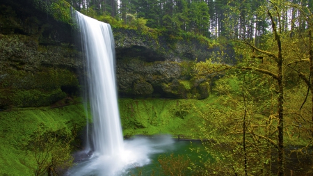 Lovely Waterfall - nature, waterfalls, trees, landscapes