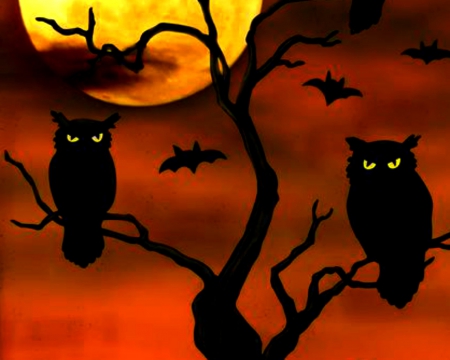 Halloween Night - halloween, tree, owl, bird