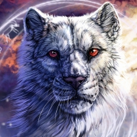 White Tiger - hdr