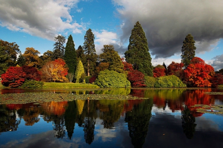 Autumn In Sheffield Park Garden - clouds, Sheffield Park Garden, England, trees, Autumn, water, pond, Fall, bushes, grass, reflection, Park, Sheffield