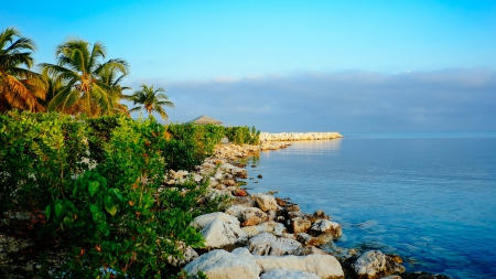 Beautiful Coastal View - nature, oceans, beaches, trees, coast