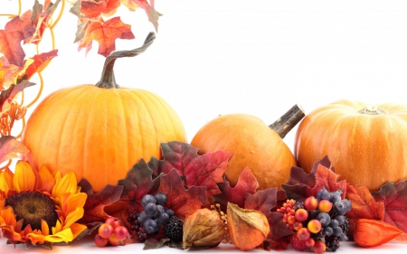 Happy Autumn! - grapes, toamna, autumn, red, fruit, orange, leaf, pumpkin