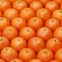 Oranges