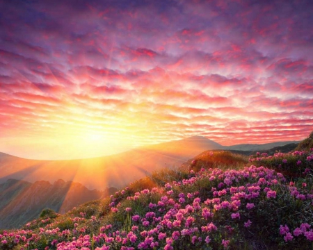 Shine - nature, sky, mountain, sun, flowers