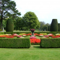 Lanhydrock gardens