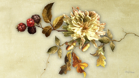 Autumn Berries and Acorns - acorns, autumn, fall, vintage, leaves, flowers, berries, natural