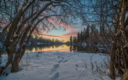 Winter Landscape - lakes, winter, landscapes, trees, nature, snow