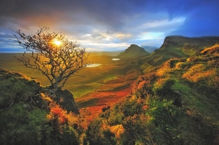 Sunrise At The Quiraing, Scotland - clouds, prairie, beautiful, shrubs, sunrise, grass, Isle Of Sky, mountains, lakes, dead tree, sky