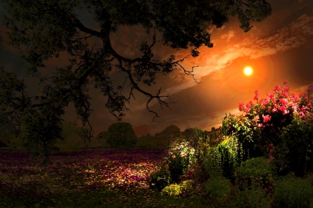 Wild Garden - trees, beautiful, mystic, shrubs, forest, flowers, wildflowers, leafs, sunset, sky