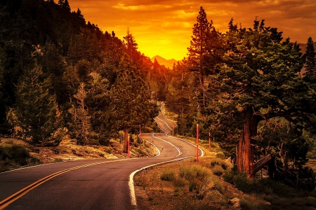 Highway Sunset - trees, beautiful, road, grass, forest, highway, sunset, mountains, sky