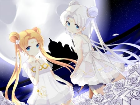 Moon Princess - princess, princess serenity, anime girl, blond hair, blonde hair, silver hair, adorable, ir, cene, floral, beautiful, sweet, dress, nice, beauty, female, twintail, blond, pretty, anime, cute, twin tail, moon, girl, twintails, longhair, gown, lovely, serenity, sailor moon, kawaii, twin tails, blossom, sailormoon, blonde, flower