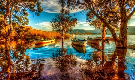 Mountain - lake, boats, mountain, trees