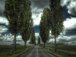 cloudy country road