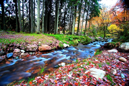 FOREST STREAM in AUTUMN - branches, autumn, sky, streams, landscape, trees, mountains, green colors, rocks, nature, forest, seasons, leaves, splendor, enchanting nature