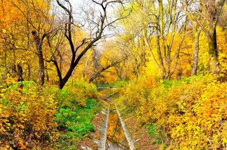 PARK in AUTUMN