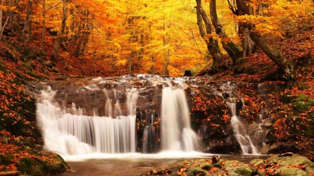 Autumn Waterfall - fall, trees, forest, river, leaves, colors