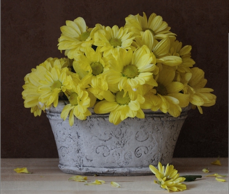 Still Life - flowers, still life, yellow, beautiful