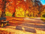 Lovely Autumn Park