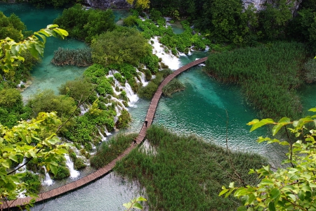 Amazing Place - water, bridge, trees, river